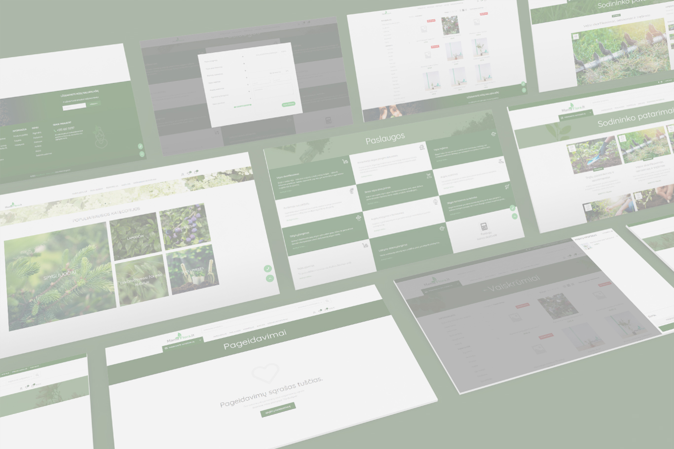 Horizontal Project Image